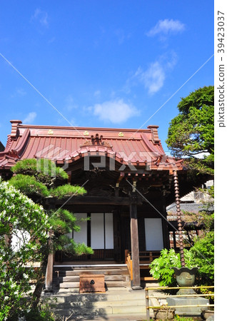 Kamakura City Daikenji Main Hall and blue sky 39423037
