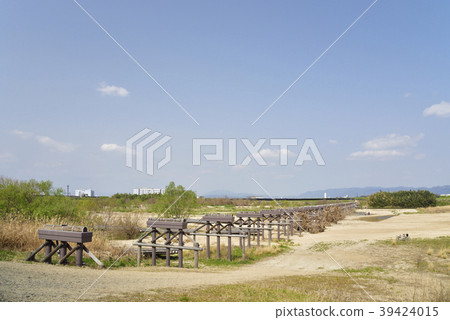 Kizugawa Kamitsuyabashi (after being drained) Yawata City, Kyoto Prefecture 39424015