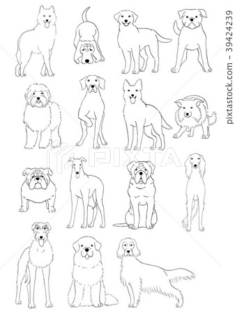 Medium-sized and large-sized dog types 1 Medium-sized and large-sized dog types 1 39424239