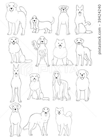 Medium and large dog types 2 39424240