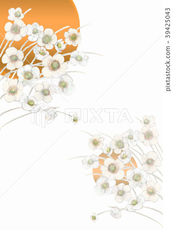 打破碗花花 39425043