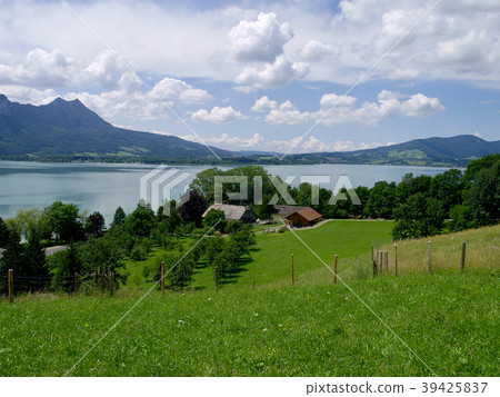 Farm with grassland and meadow at the lake.     39425837