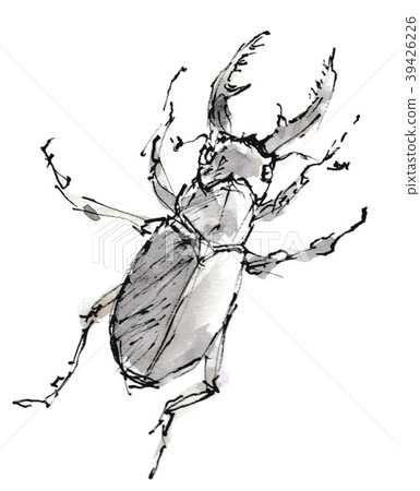 Stag beetle Stag beetle 39426226