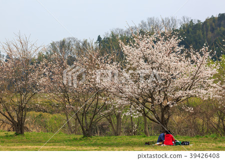 First glance Senbonzakura Ogawara First glance Senbonzakura Ogawara 39426408