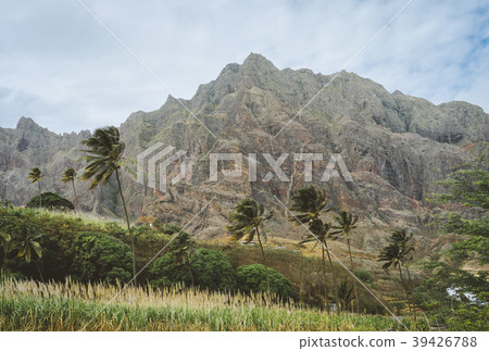 Palm trees in front of arid rocky terrain. Huge 39426788