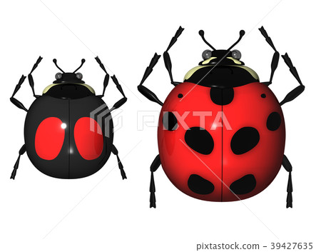 Ladybug Ladybug 39427635
