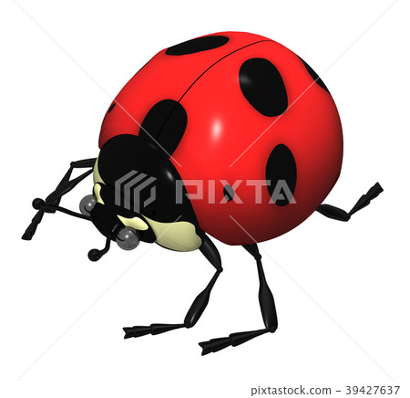 Ladybug Ladybug 39427637