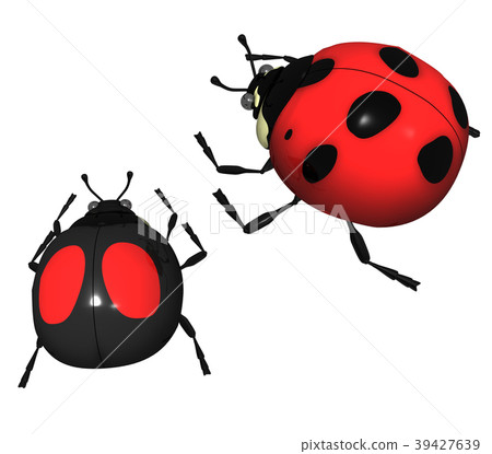 Ladybug Ladybug 39427639