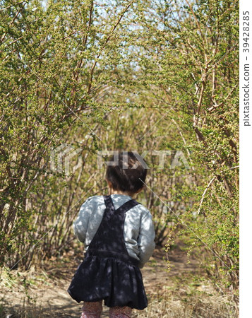 Fresh green tunnel Fresh green tunnel 39428285