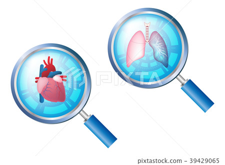 Heart, lung, loupe image Heart, lung, loupe image 39429065