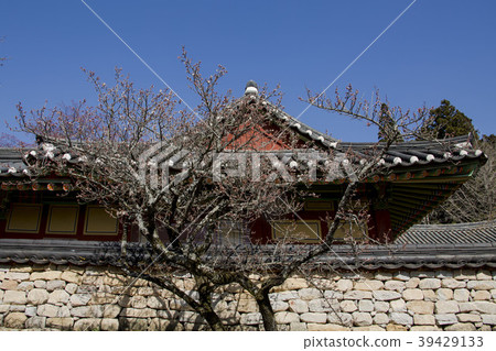 Sunam寺 Sunam寺 39429133
