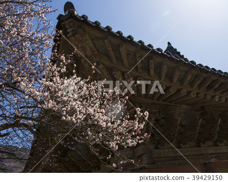 Sunam寺 Sunam寺 39429150
