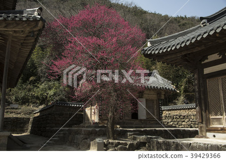 Hwaeomsa 39429366