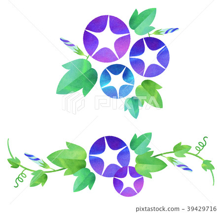 牽牛花(藍色系列) 牽牛花(藍色系列) 39429716