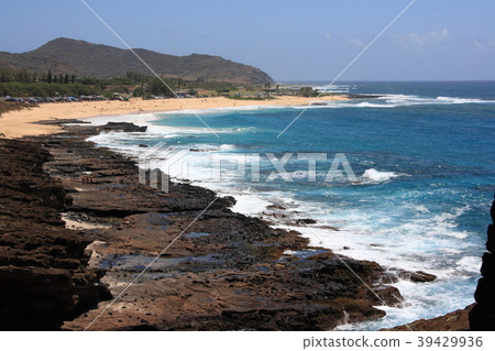 沙灘公園 39429936