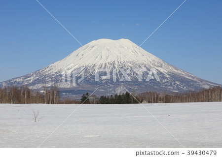 從宮田區二世谷鎮看到的羊蹄山 39430479