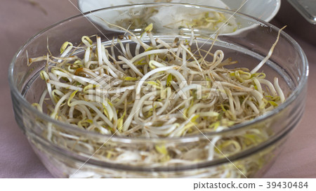 Soybean sprouts in a salad glass bowl Soybean sprouts in a salad glass bowl 39430484
