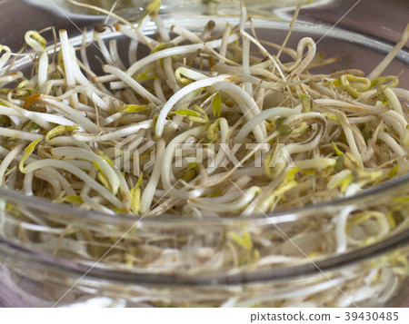 Soybean sprouts in a salad glass bowl Soybean sprouts in a salad glass bowl 39430485