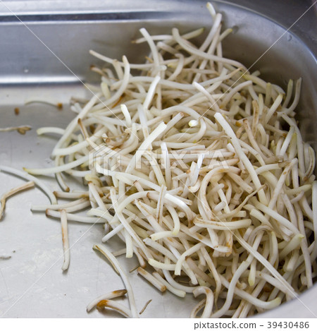 Soybean sprouts in a salad glass bowl Soybean sprouts in a salad glass bowl 39430486