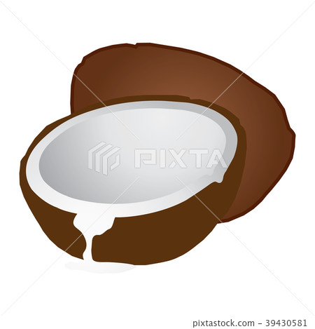 Coconut Illustration. Coconut Illustration. 39430581