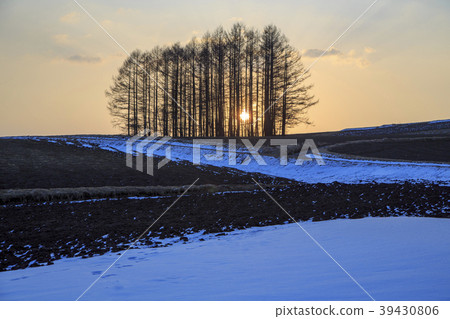 Sunrise on the Tsumagoi plateau 39430806
