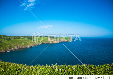 Primitive Flower Garden Ayamegahara Chimbe Observatory 39431921