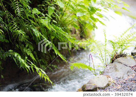 Masa well of Heaven Masa well of Heaven 39432074