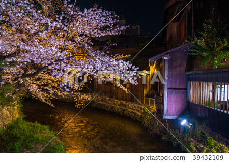 《京都府》 G園縣白川/櫻倉 《京都府》 G園縣白川/櫻倉 39432109