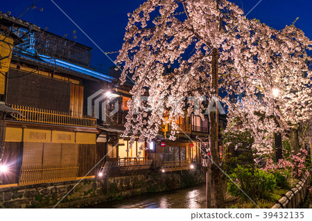 《京都府》 G園縣白川/櫻倉 39432135