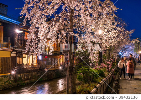 《京都府》 G園縣白川/櫻倉 39432136