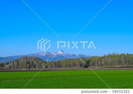 二世谷春天二世古安努普利 39432161