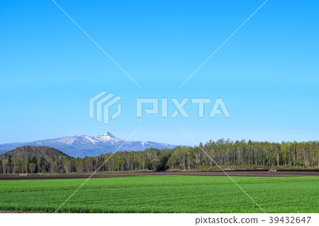 二世谷春天二世古安努普利 39432647