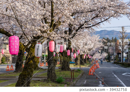Omiya-dori Sakura Namiki Sakura Festival Iida City, Nagano Prefecture 39432758