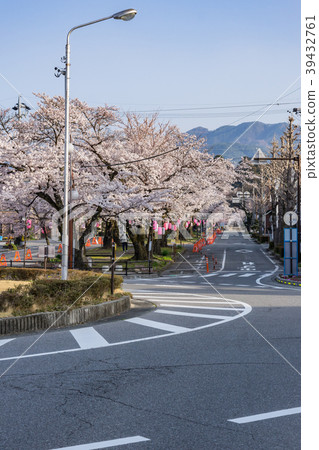 Omiya-dori Sakura Namiki Sakura Festival長野縣飯田市 Omiya-dori Sakura Namiki Sakura Festival長野縣飯田市 39432761