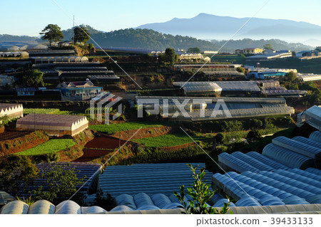 greenhouses at Da Lat agricultural area greenhouses at Da Lat agricultural area 39433133