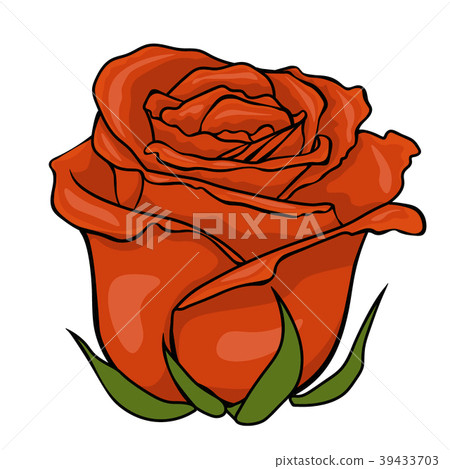 Red rose bud. Isolated flower on white background. Red rose bud. Isolated flower on white background. 39433703