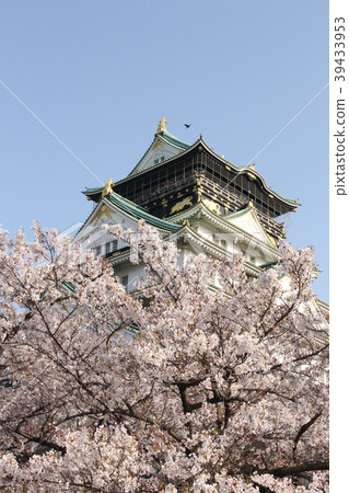 大阪城, 櫻花, 城堡塔, 大阪市, 觀光景點, 春天, 四季, 觀光, 櫻花前線, 賞櫻花, 大阪城, 櫻花, 城堡塔, 大阪市, 觀光景點, 春天, 四季, 觀光, 櫻花前線, 賞櫻花, 39433953