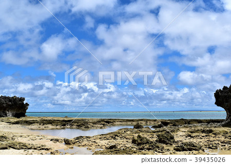 約龍島 約龍島 39435026