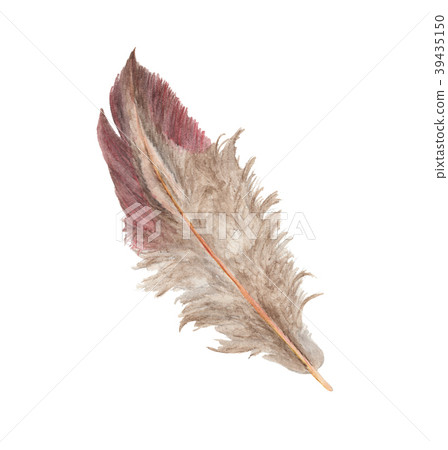 Hand drawn watercolor paintings vibrant feather. Hand drawn watercolor paintings vibrant feather. 39435150