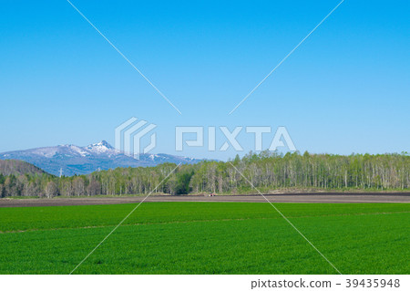 二世谷春天二世古安努普利 39435948