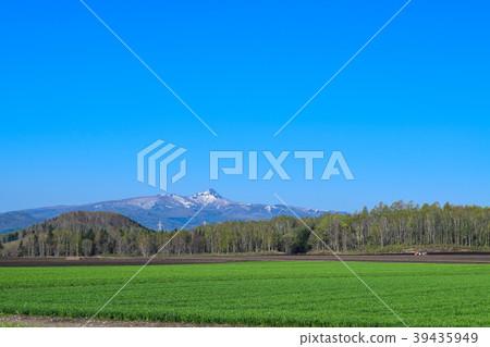 二世谷春天二世古安努普利 39435949