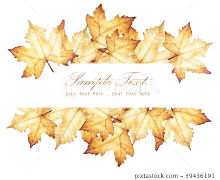 Autumn with place for text 39436191