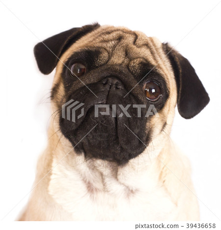 Coffee latte with milky foam and bubbles  39436658