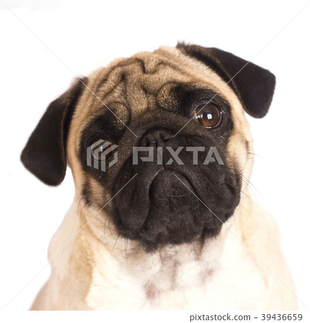 Coffee latte with milky foam and bubbles  39436659