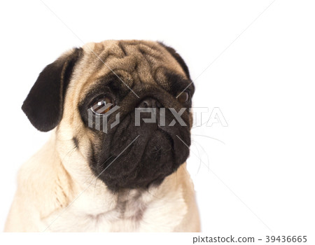 Coffee latte with milky foam and bubbles Coffee latte with milky foam and bubbles 39436665