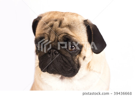 Coffee latte with milky foam and bubbles Coffee latte with milky foam and bubbles 39436668