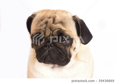 Coffee latte with milky foam and bubbles Coffee latte with milky foam and bubbles 39436669