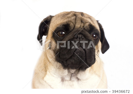 Coffee latte with milky foam and bubbles  39436672