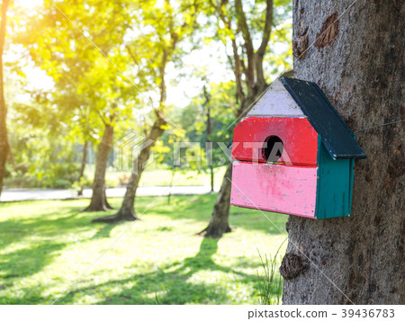 Colorful Bird Houses in the park Hanging on a tree 39436783