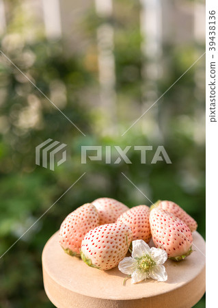 白色的草莓 白色的草莓 39438136